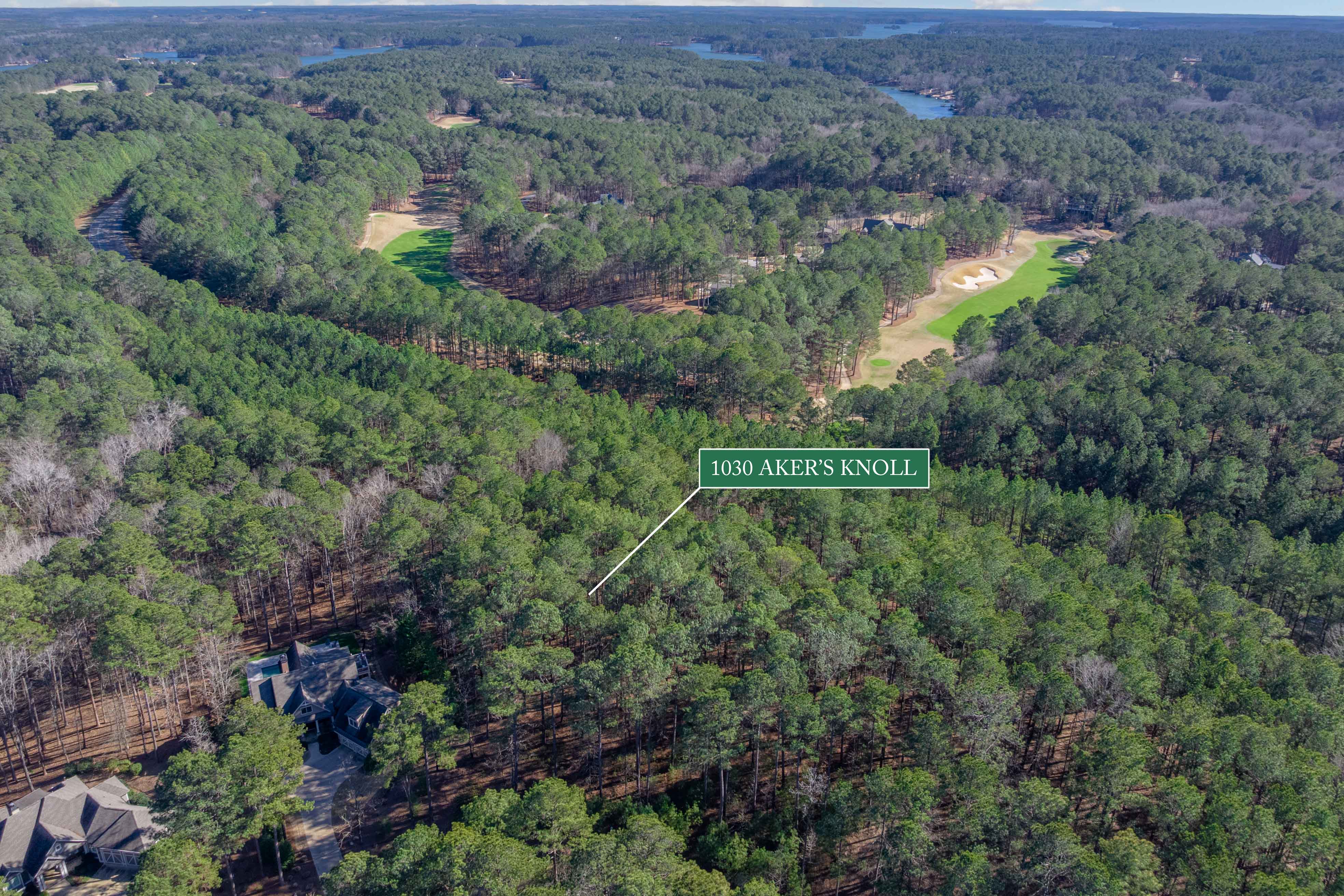 1030 Aker's Knoll image 21